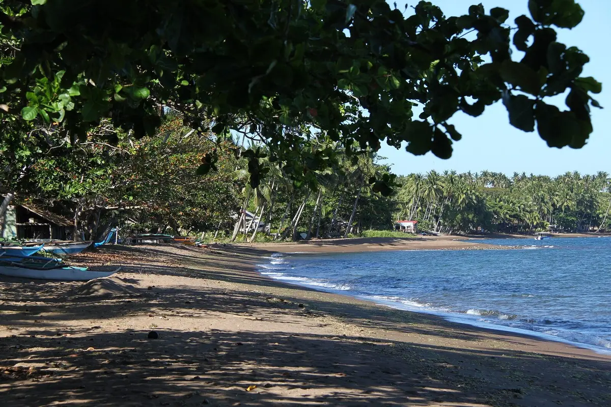 A second view related to Diving in Dauin