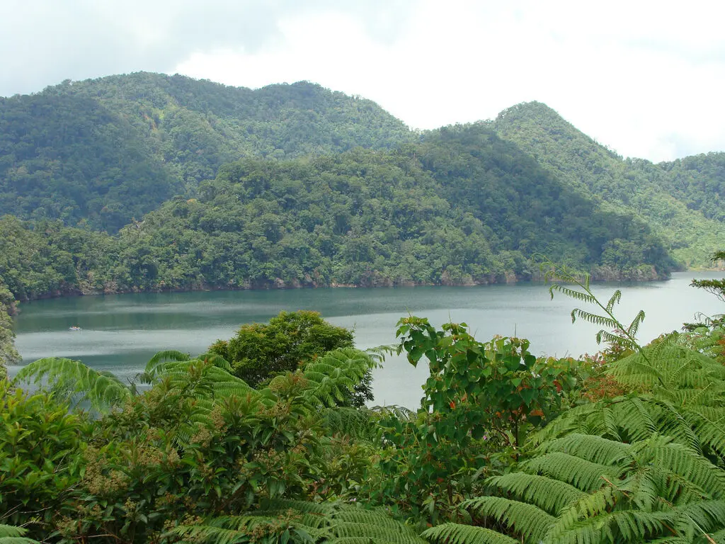 Lake Balinsasayao surrounded by green forest
