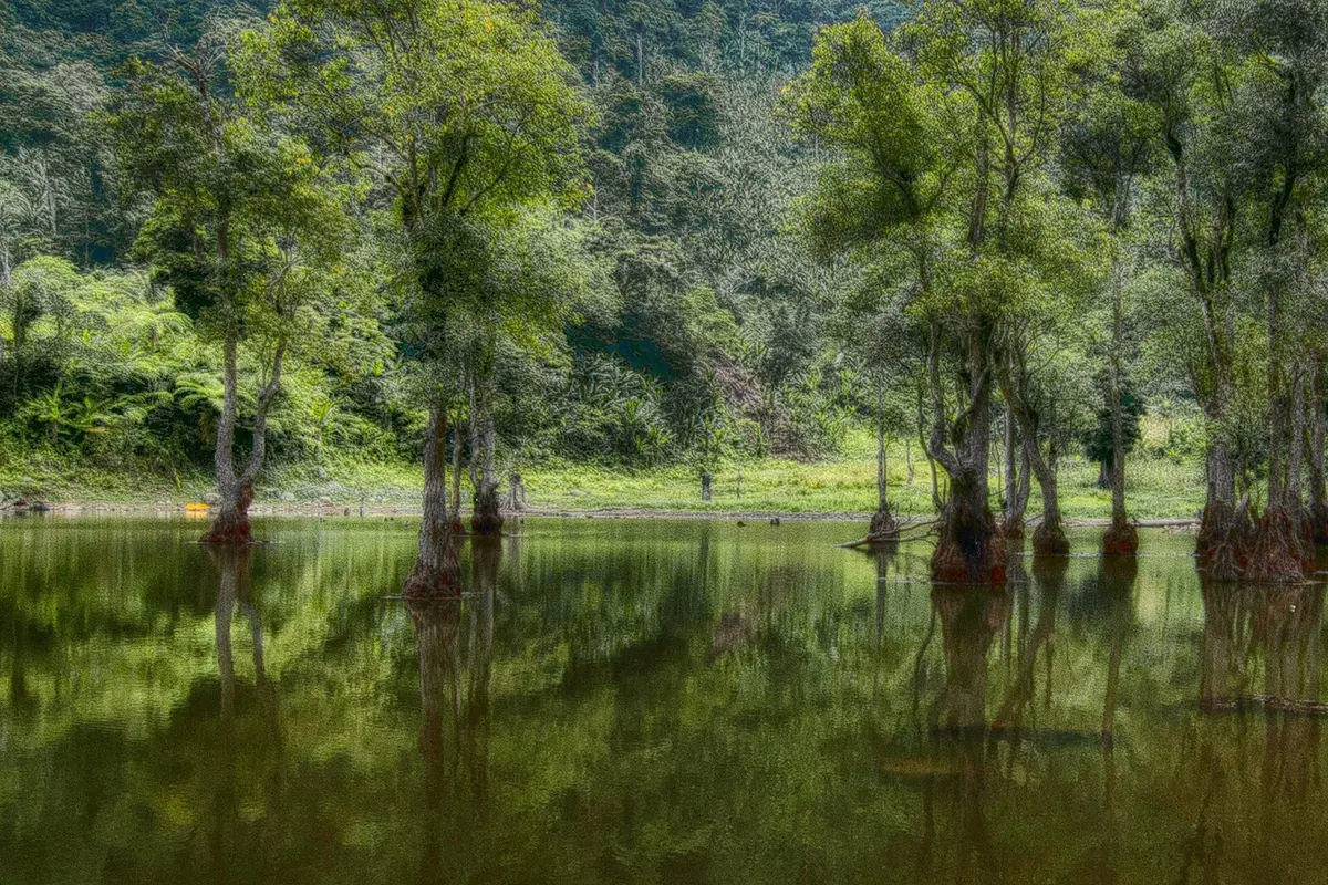 Forested mountains surrounding Balinsasayao Twin Lakes