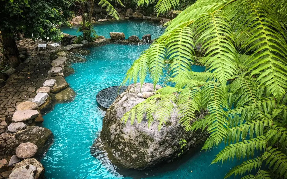 Spring-fed pool surrounded by tropical forest at Forest Camp in Valencia