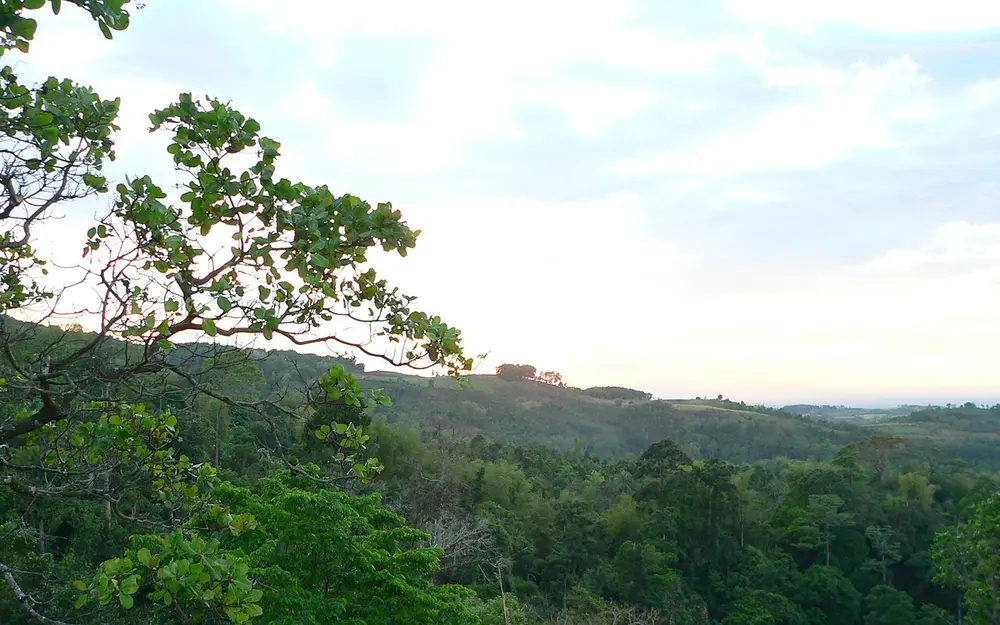 Green highland landscape near Mount Kanlaon and Canlaon City